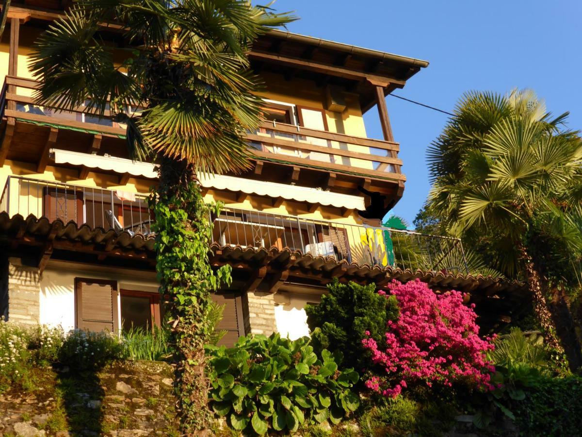 Gambarogno Casa Petra 1 1/2 Zi, Orgnana 83 아파트 외부 사진